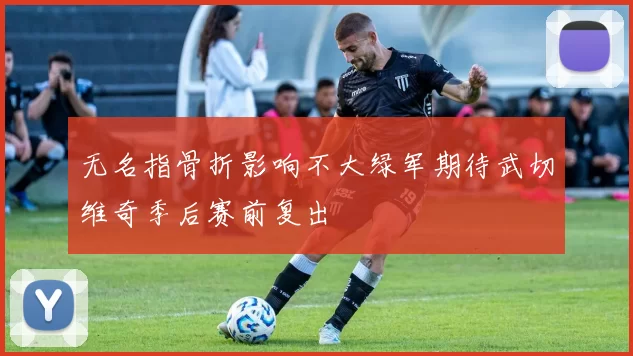 无名指骨折影响不大绿军期待武切维奇季后赛前复出