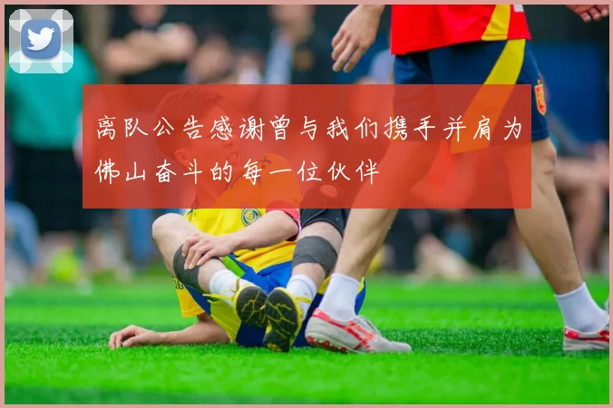 离队公告感谢曾与我们携手并肩为佛山奋斗的每一位伙伴