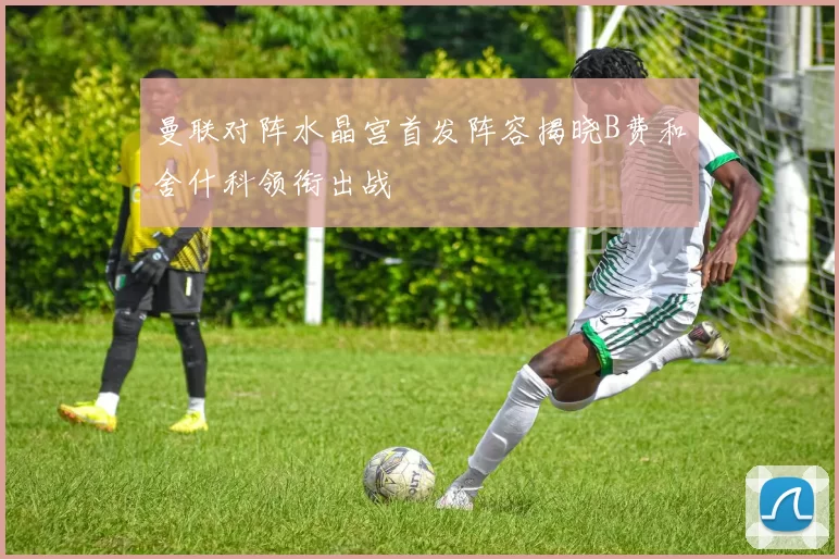 曼联对阵水晶宫首发阵容揭晓B费和舍什科领衔出战